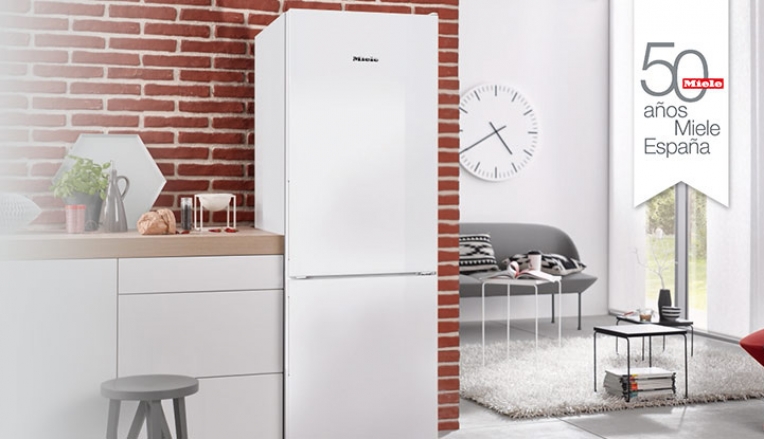 PROMOCIN GAMA DE FRO DE MIELE